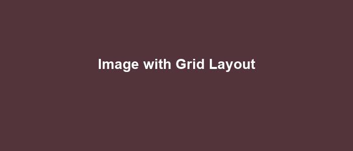 Image with Grid Layout