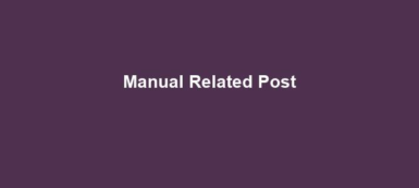 Manual Related Post