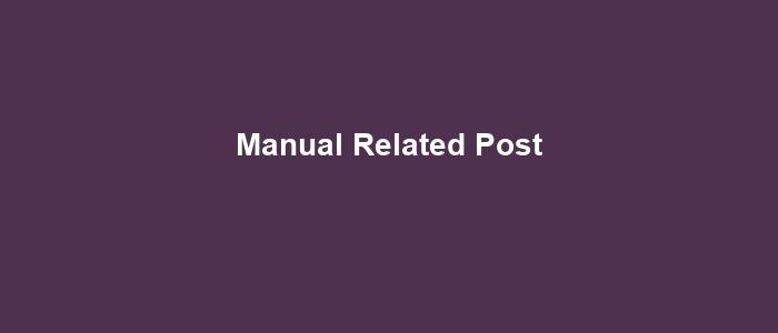 Manual Related Post